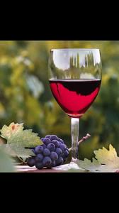 Vivino profile picture for @star