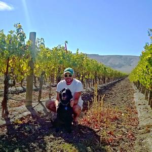 Vivino profile picture for @pj