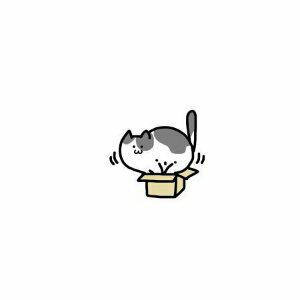 Vivino profile picture for @yy
