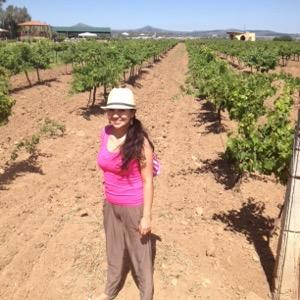 Vivino profile picture for @yared
