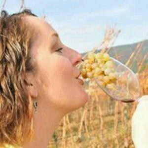 Vivino profile picture for @mapled