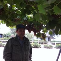 Vivino profile picture for @itac