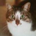Vivino profile picture for @beep
