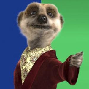 Vivino profile picture for @cousins