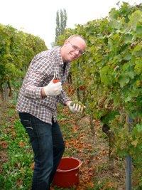 Vivino profile picture for @gills