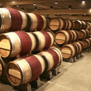 Vivino profile picture for @vi