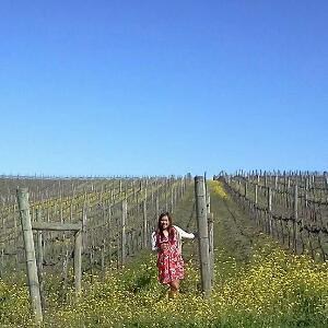 Vivino profile picture for @rows