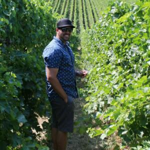 Vivino profile picture for @camp