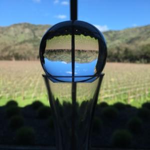 Vivino profile picture for @dk