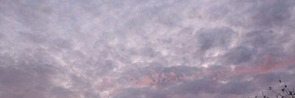 Vivino banner for @shakespeare
