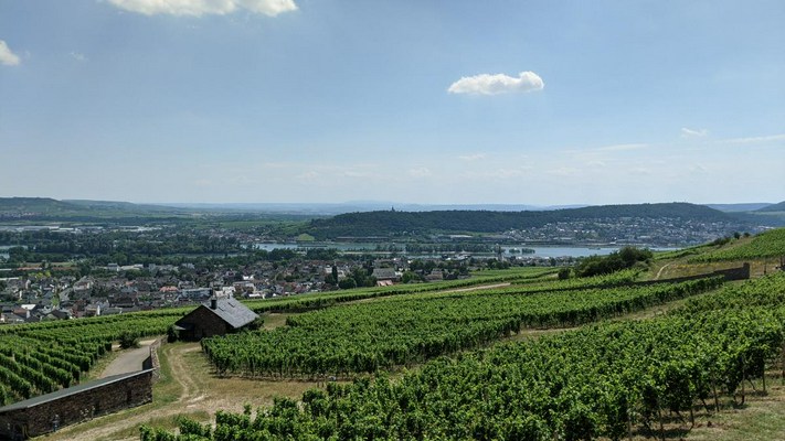 Vivino banner for @classic