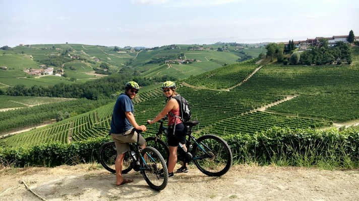 Vivino banner for @lo