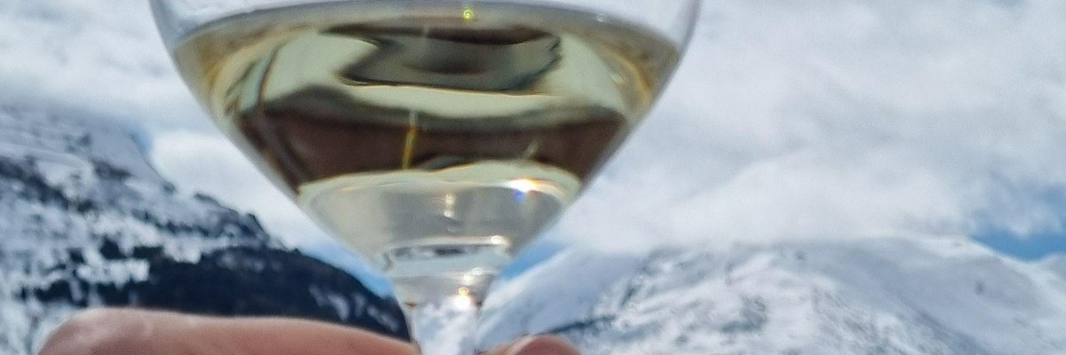 Vivino banner for @tingle