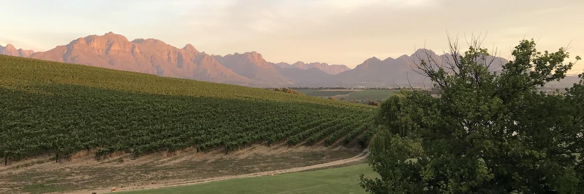 Vivino banner for @jab