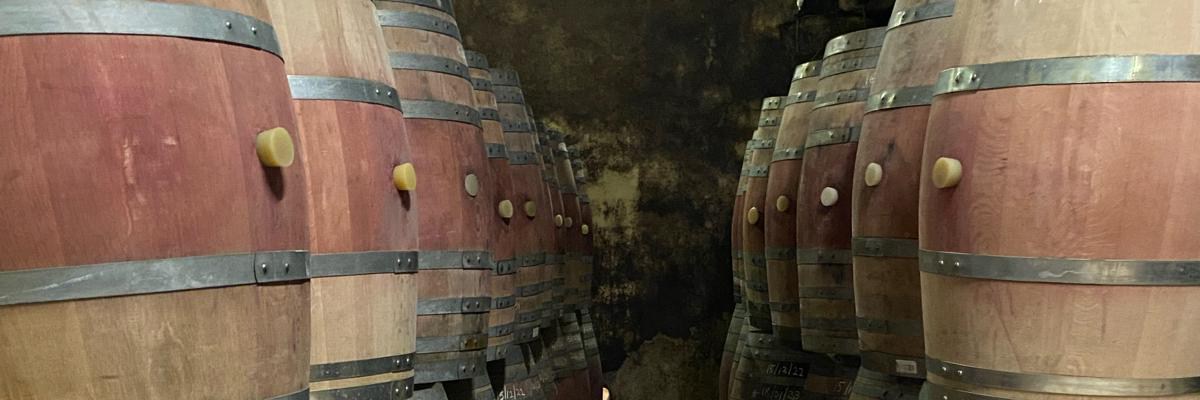 Vivino banner for @rutgers