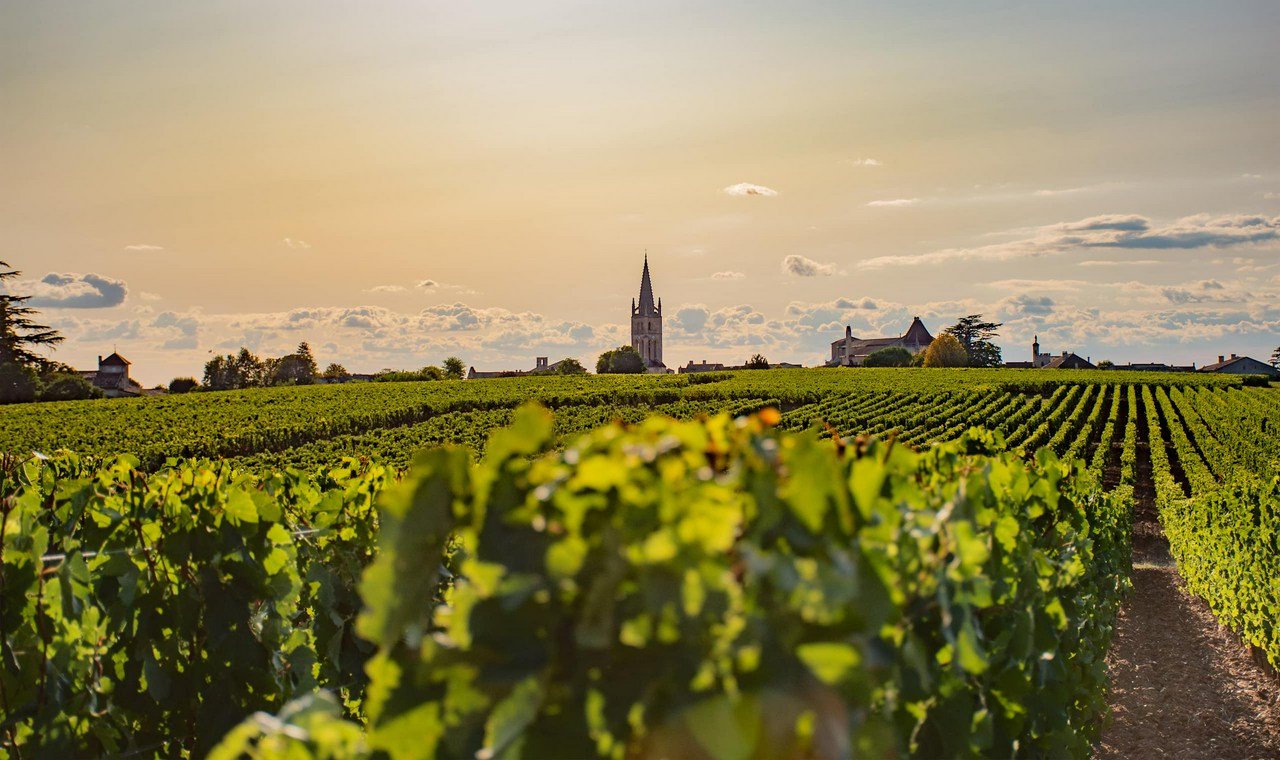 France - Frankrijk, Médoc, Château Des Bertins 2018 Rouge, 75 cl