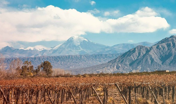 Trapiche Vineyards Merlot