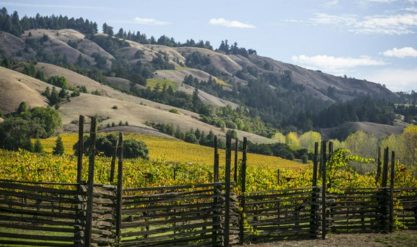 Les Lunes Wine Barra Vineyard Chardonnay