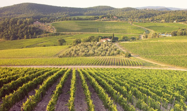 CCC2023様ヘアバス1000ml レフィル×2、レスキューレフィル×2 Castello Nipozzano Chianti Rùfina Riserva | Vivino English