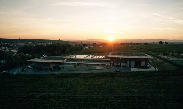 Jakob Gerhardt Silvaner Spätlese 1999 Jakob Gerhardt Silvaner Spätlese 1999 Jakob Gerhardt Winery | Vivino