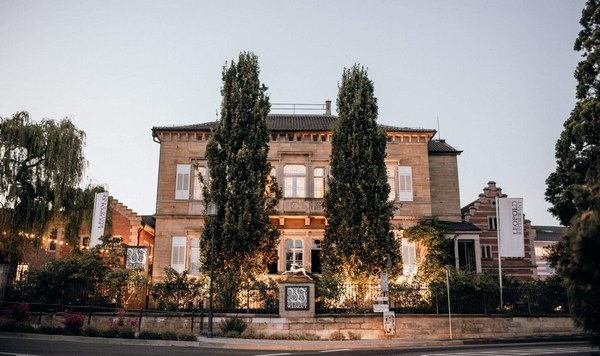 Max von Dungern Weingut | Vivino