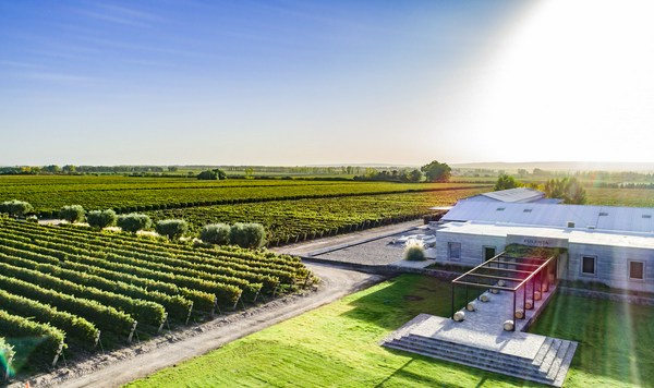 Casa Montes Winery | Vivino