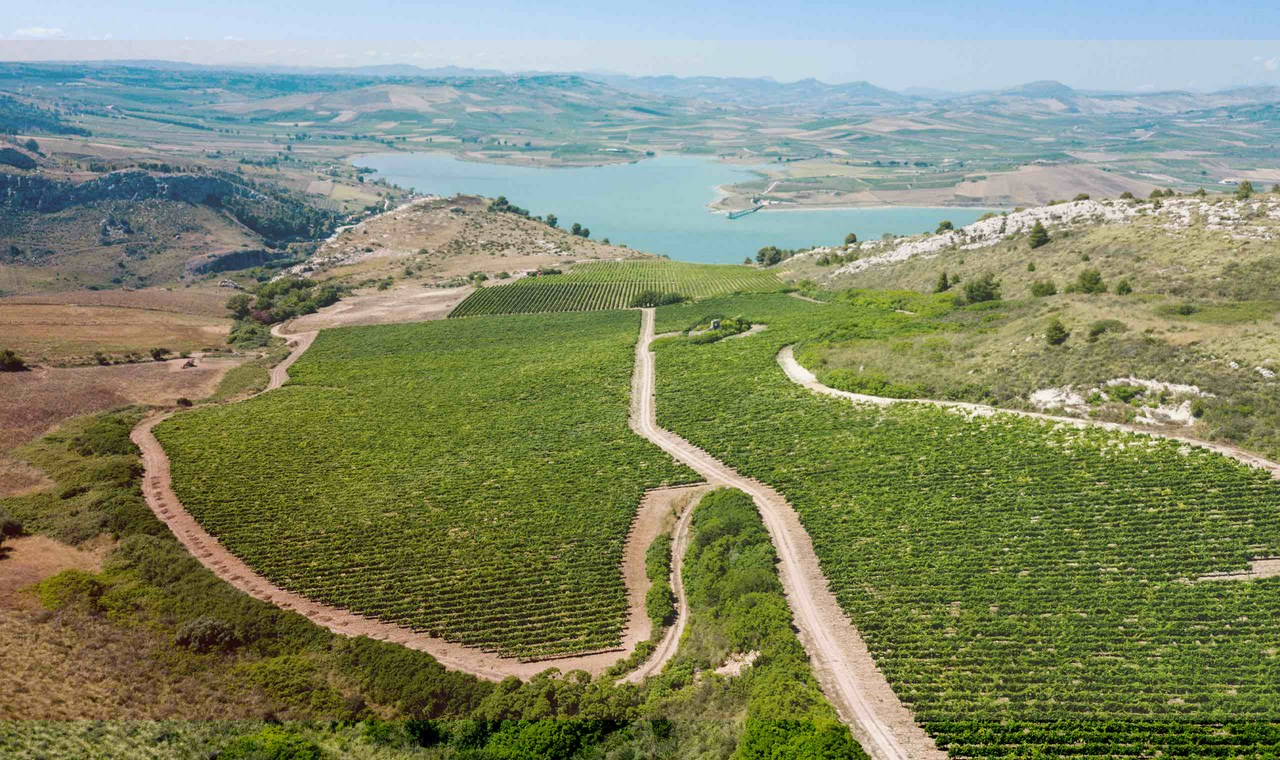 Planeta Etna Rosso | Vivino English