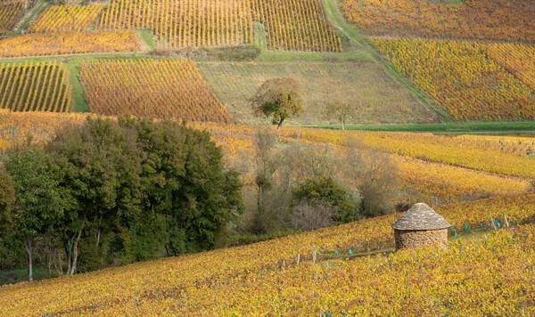 Vignerons de Buxy Montagny 1er Cru Tête de Cuvée | Vivino English