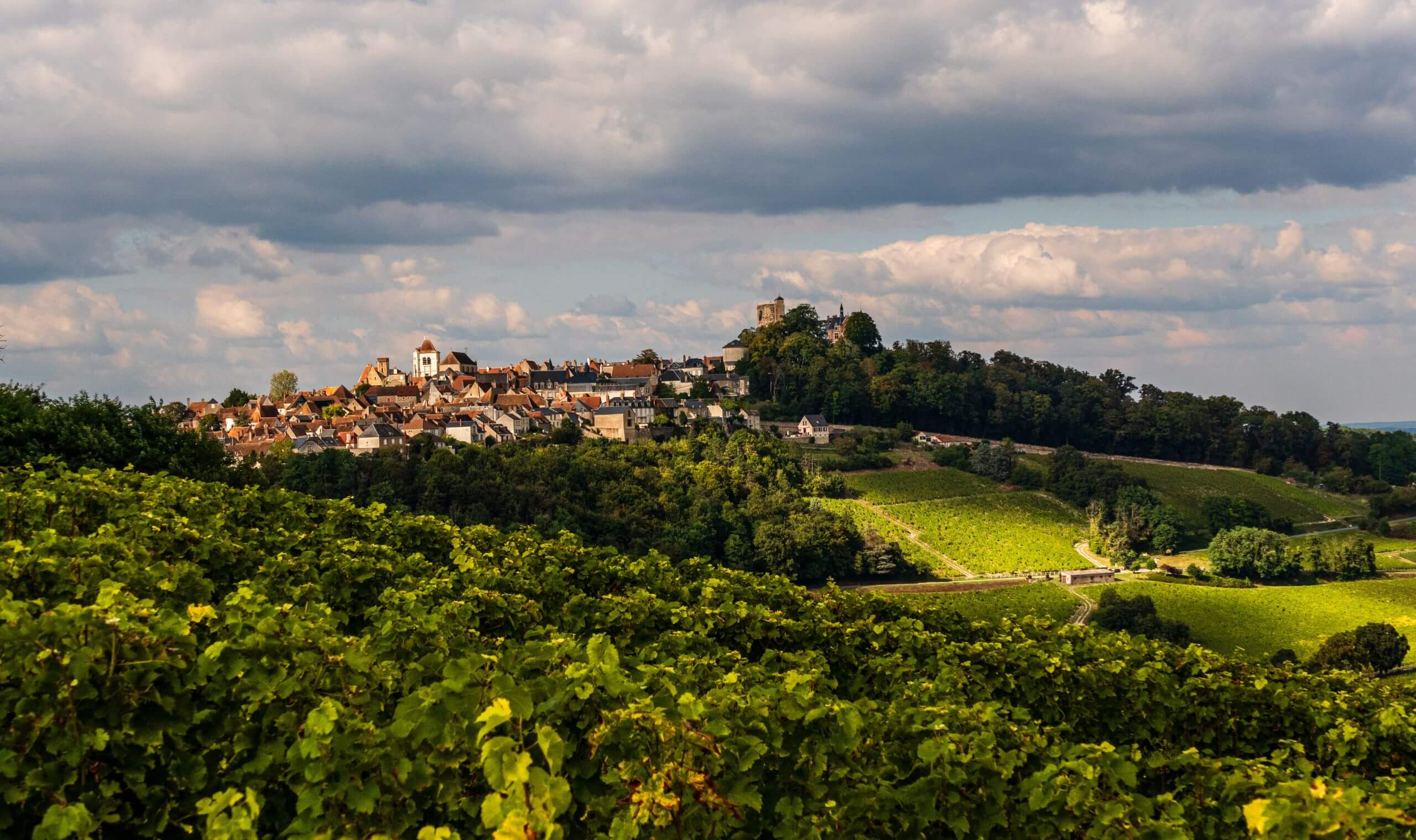 Joseph Mellot La Chatellenie Sancerre | Vivino English